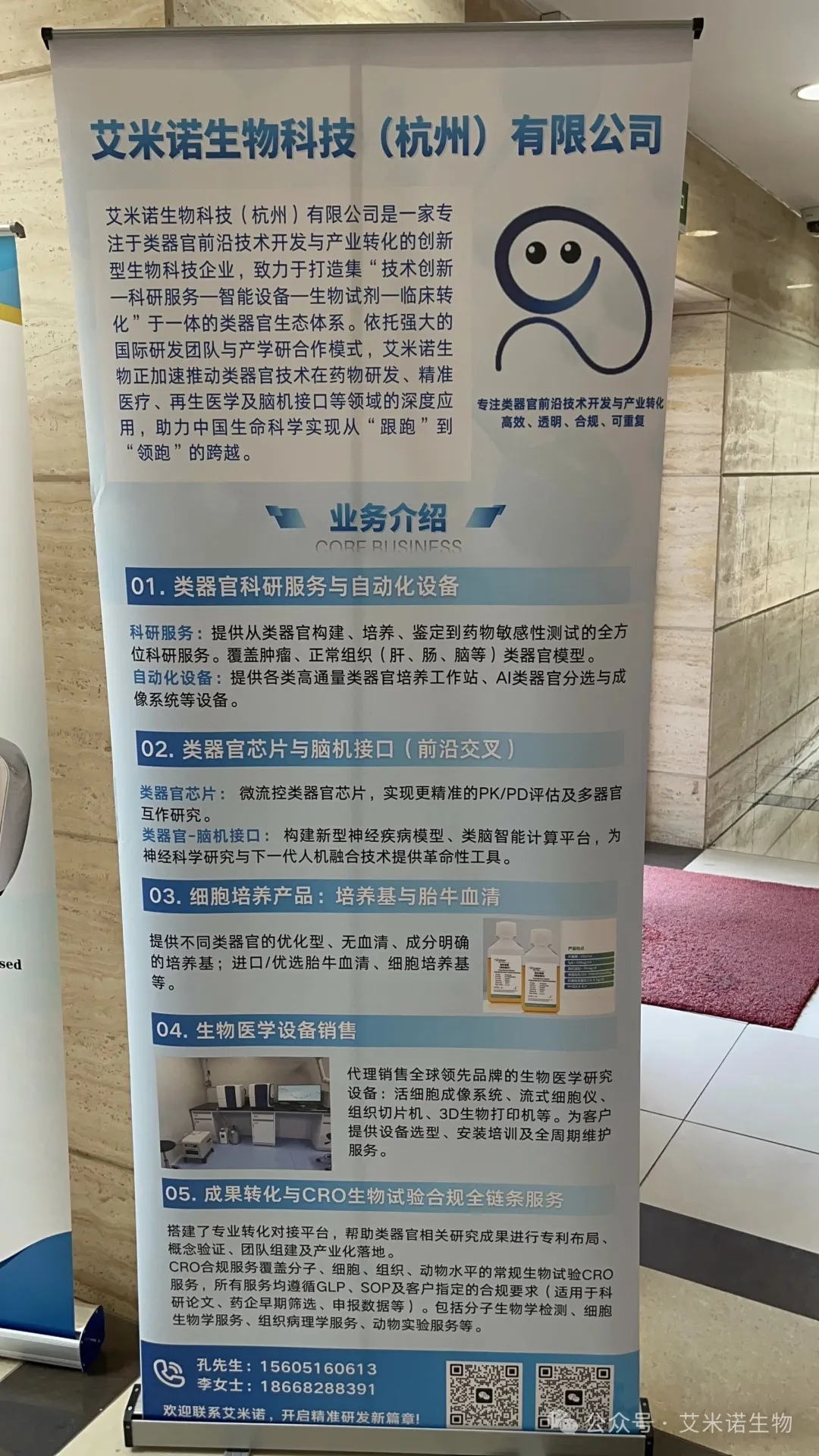 13.webp